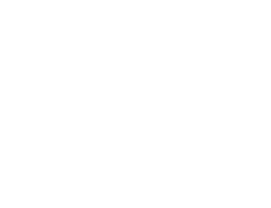 Wittenstein